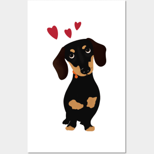 Cute Cartoon Dachshund with Three Red Hearts Posters and Art